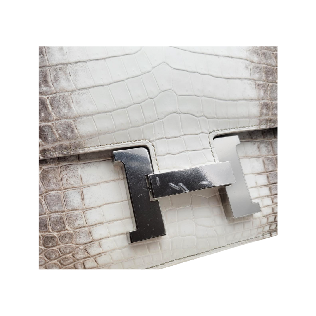 Constance 24 mirror Himalaya niloticus