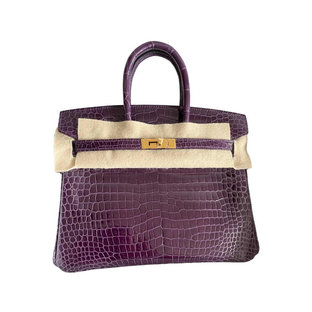 B25 Cassis alligator ghw porosus