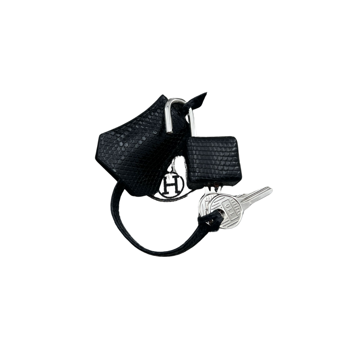 B20 Black lizard phw