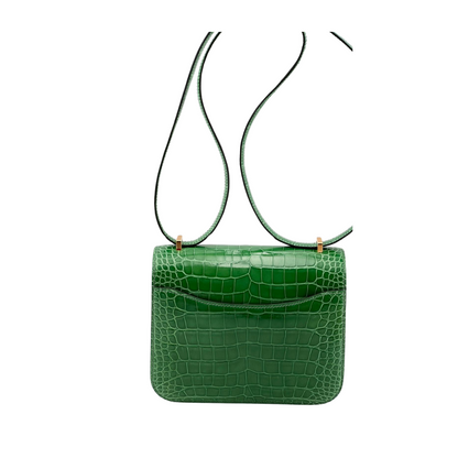Constance 18 Cactus lisse alligator ghw
