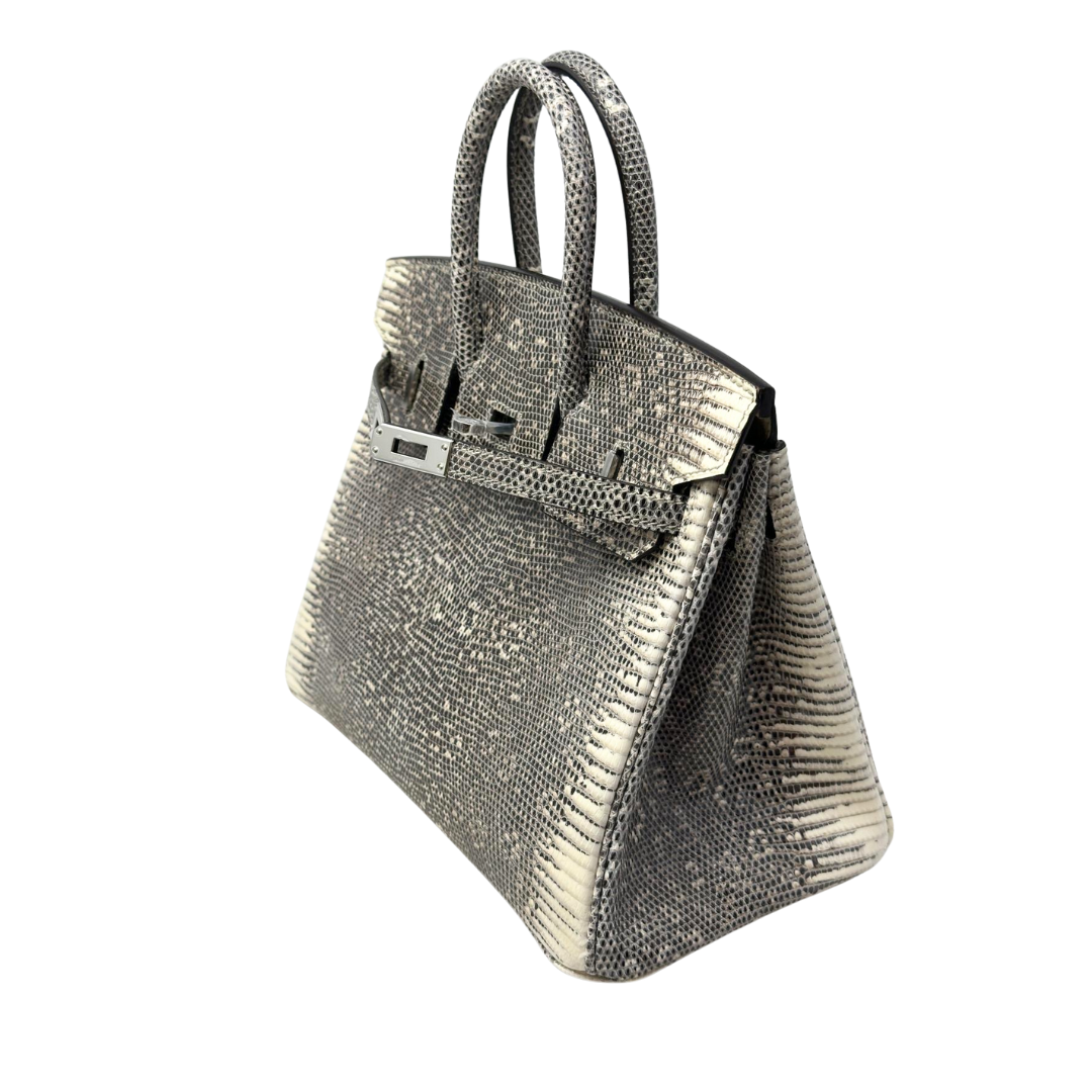 B25 Lizard ombre phw