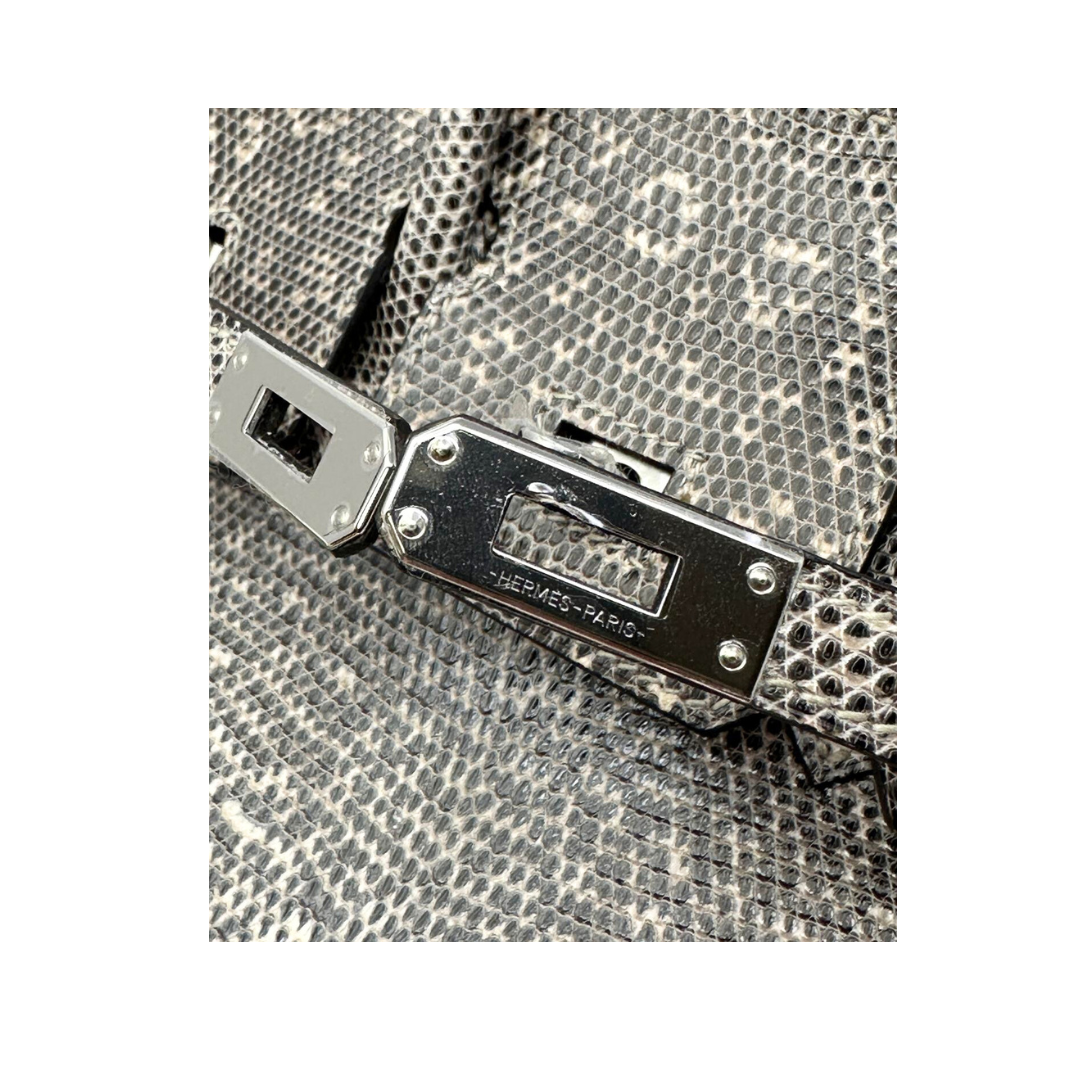B25 Lizard ombre phw