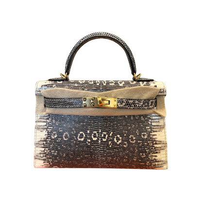 K20 Lizard ombre ghw