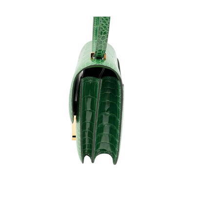 Constance 18 Cactus lisse alligator ghw