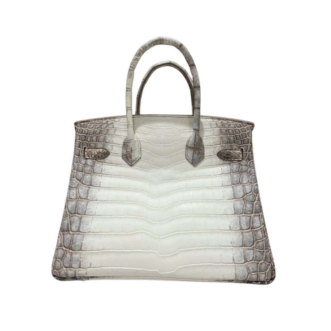 Birkin 30 himalaya diamond hardware niloticus