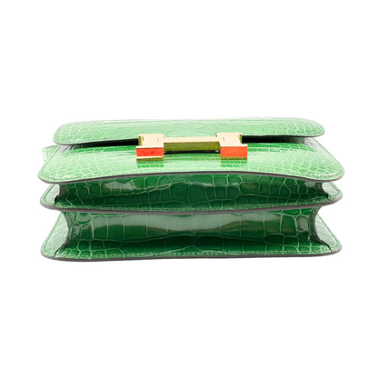 Constance 18 Cactus lisse alligator ghw