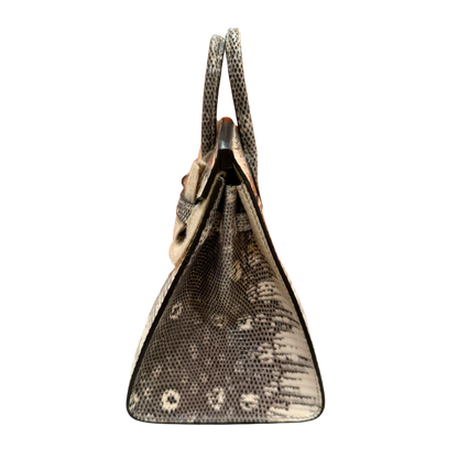 B20 Ombre lizard phw