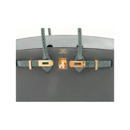 B25 Touch vert cypress lizard togo