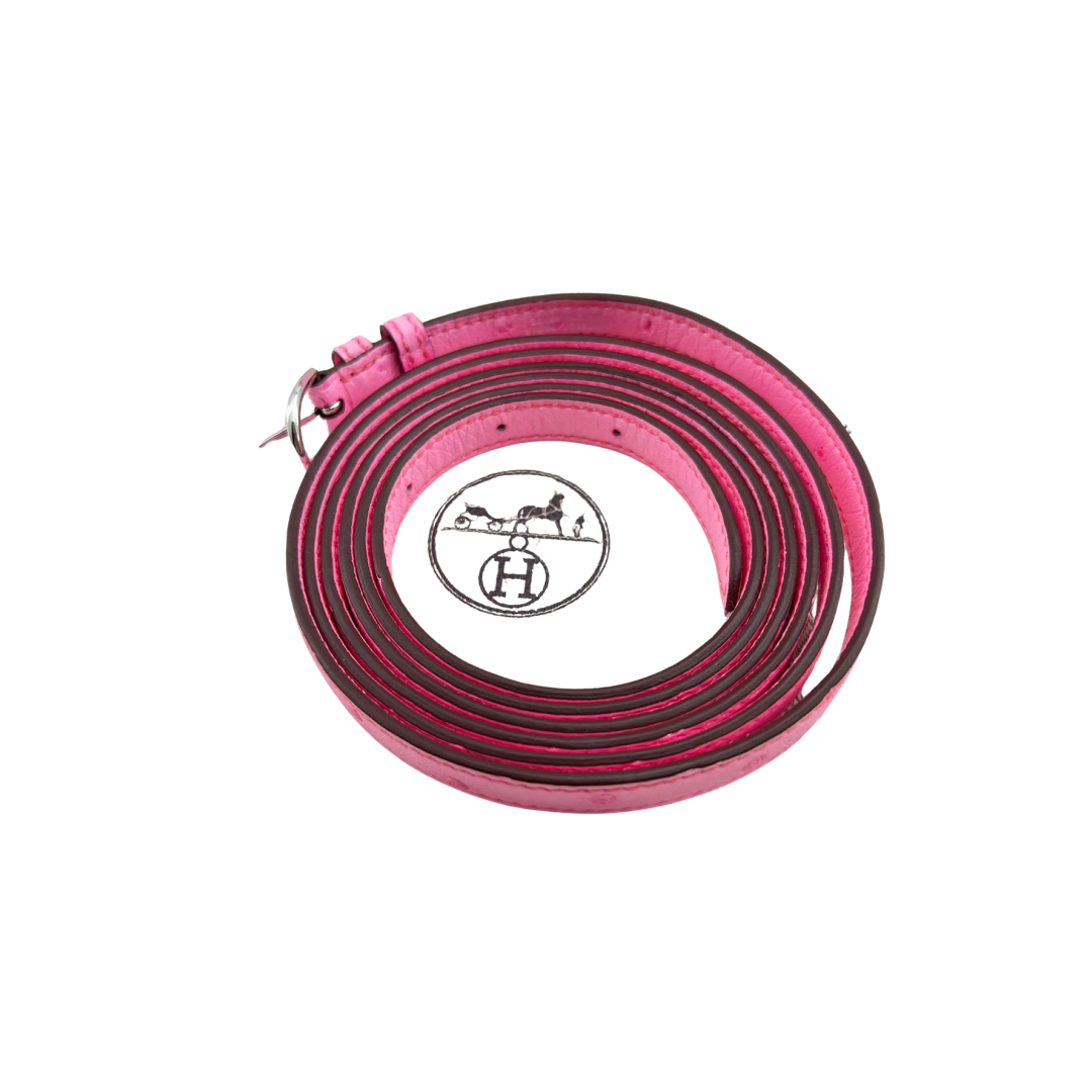 Kelly danse buble gum L4 ostrich phw