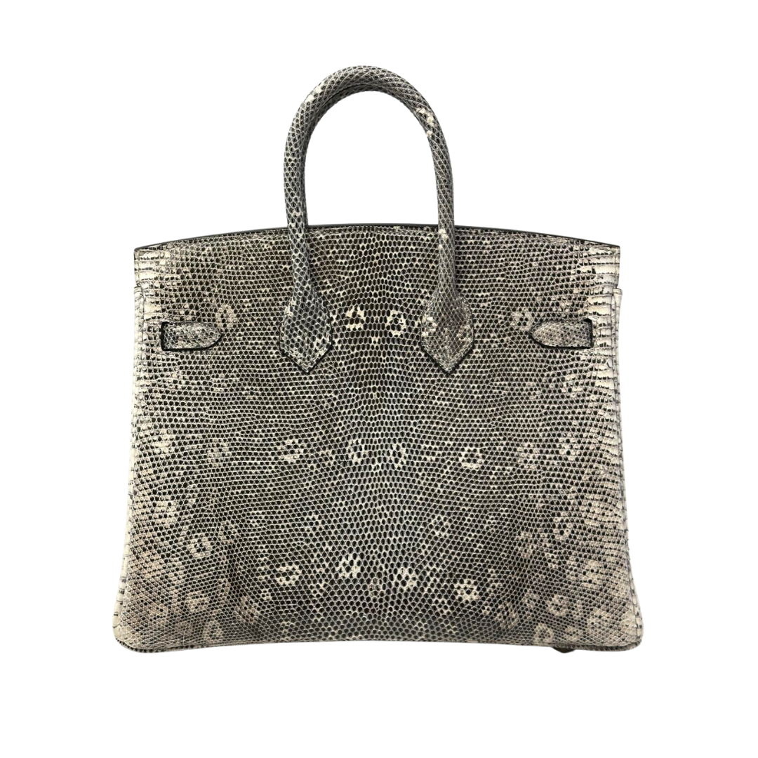 B25 Lizard ombre phw