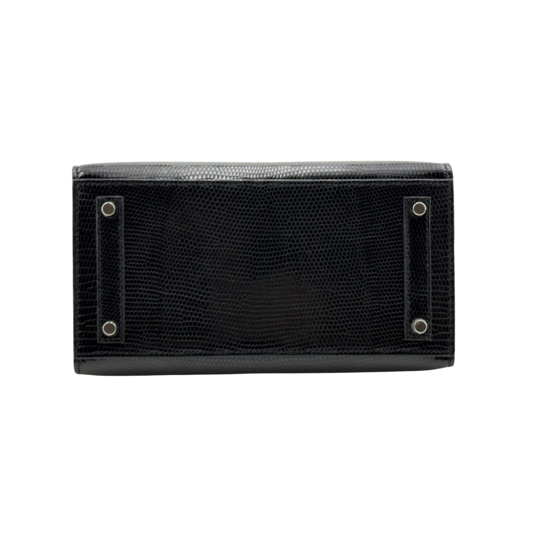 B20 Black lizard phw