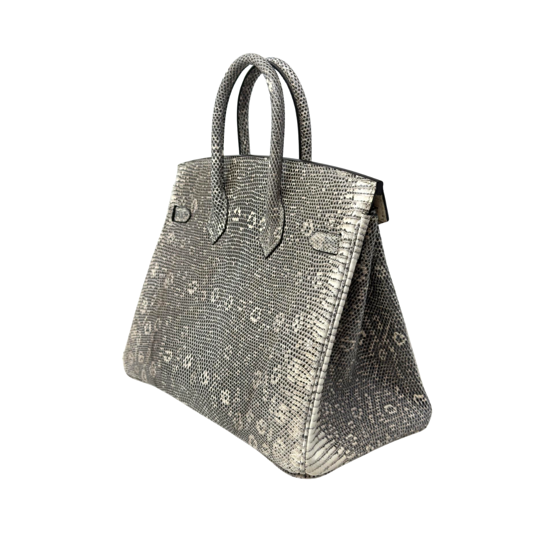 B25 Lizard ombre phw