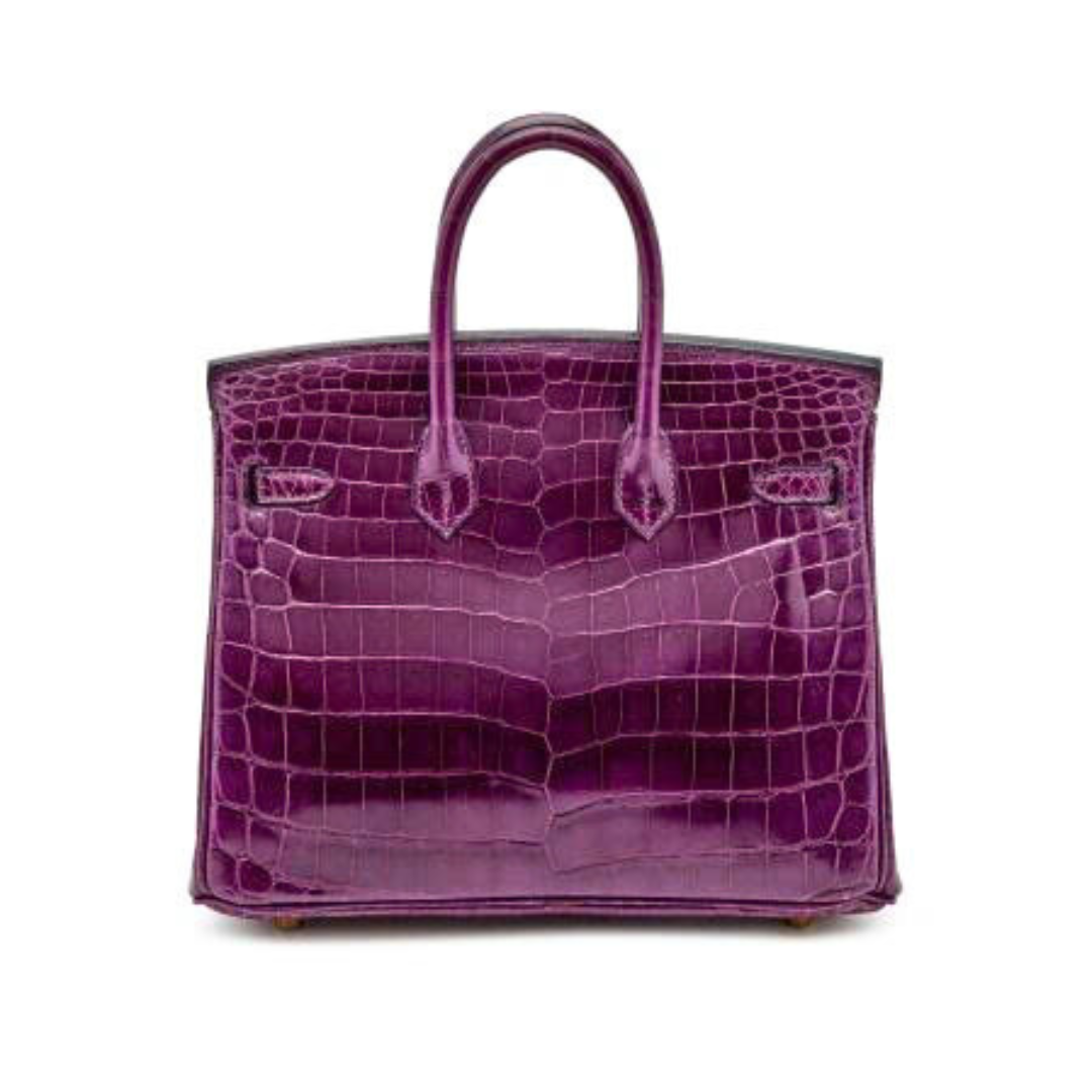 B25 Cassis alligator ghw porosus