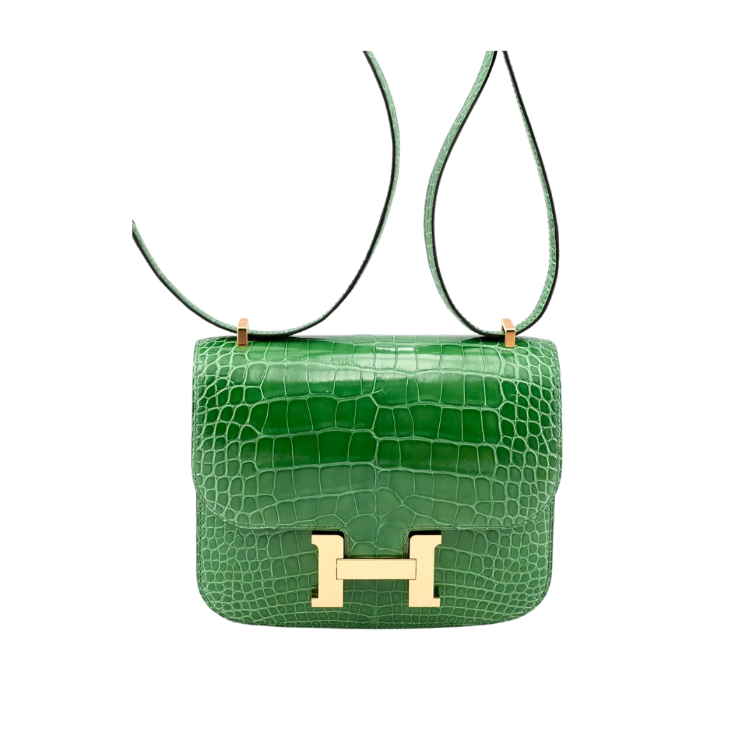 Constance 18 Cactus lisse alligator ghw