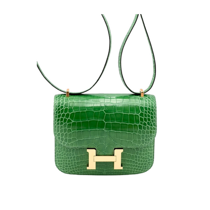 Constance 18 Cactus lisse alligator ghw