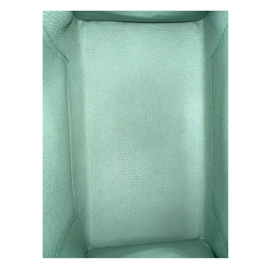 B20 Vert D'eau phw Matte Alligator