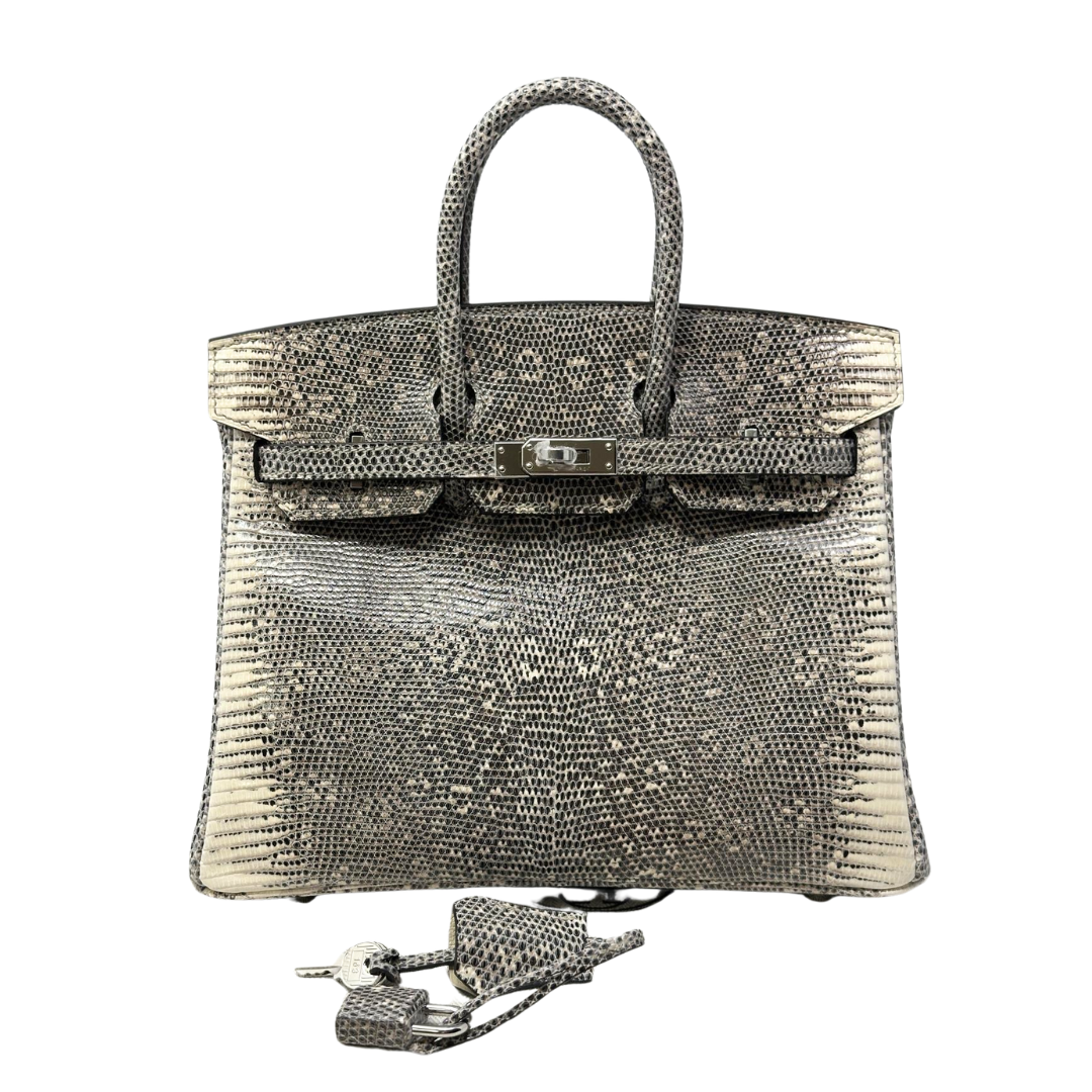 B25 Lizard ombre phw