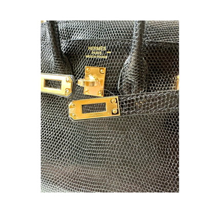 B20 black lizard ghw