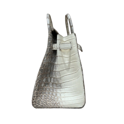 Birkin 30 himalaya diamond hardware niloticus