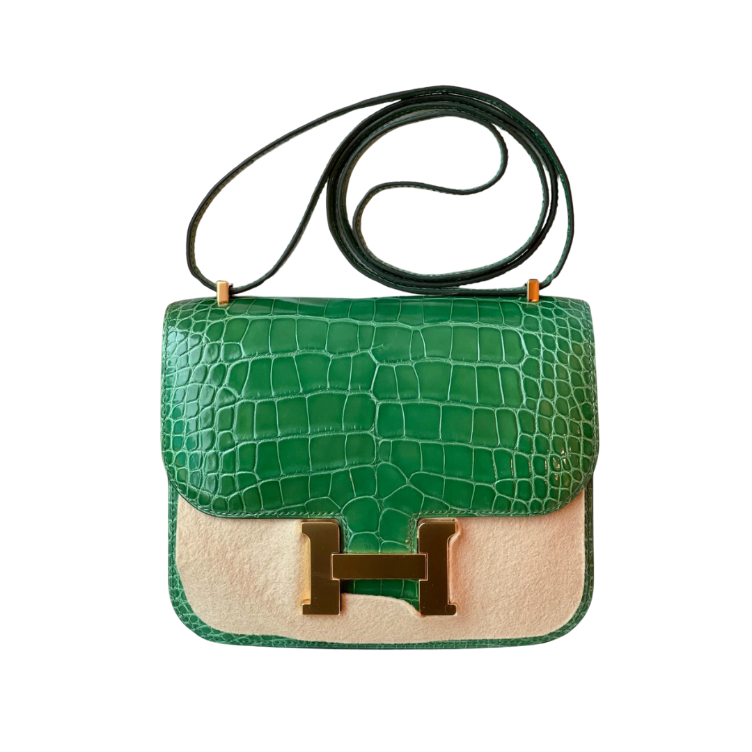 Constance 18 Cactus lisse alligator ghw